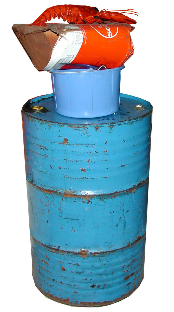 Lobster Dunedin Public Art Gallery